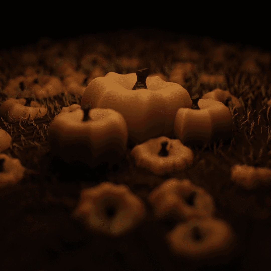 Pumpkins, Depth of Field